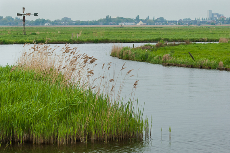 Guisveld Westzaan